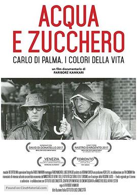 水与糖：摄影家卡洛·迪·帕尔马的生活与色彩 Acqua e zucchero: Carlo Di Palma, i colori della vita