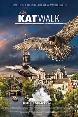 阿姆斯特丹猫未眠 Katwalk