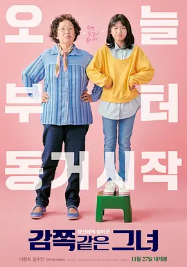 天衣无缝的她 감쪽같은 그녀