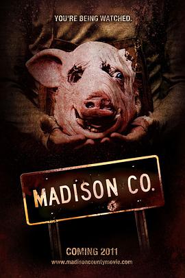 麦迪逊小镇 Madison County