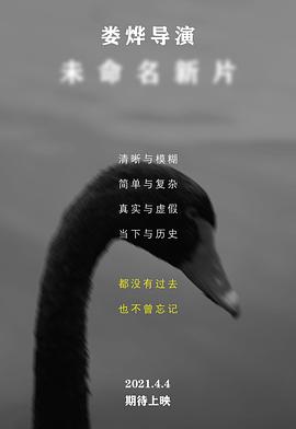 娄烨导演未命名新片