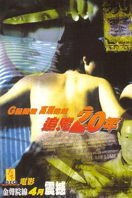 追凶二十年 追凶20年