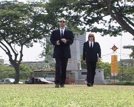 铁证柔情