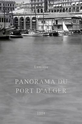 阿尔杰港全景 Panorama du port d'Alger