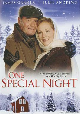 风雪黄昏恋 One Special Night