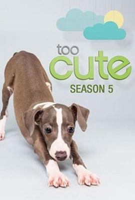 萌宠成长记 第五季 Too Cute! Season 5