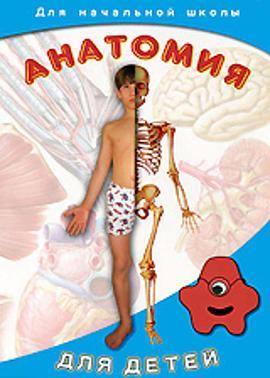 解剖男孩 Анатомия для детей