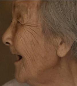 凤凰大视野 最后的“慰安妇”