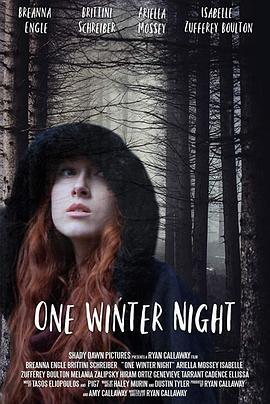 一个冬夜 One.Winter.Night
