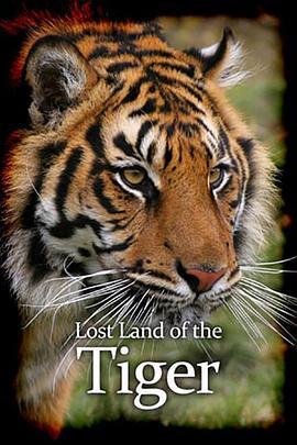 老虎失落之地 Lost Land of the Tiger