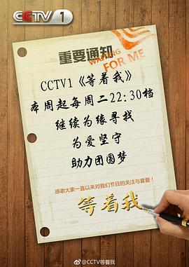 等着我 第三季