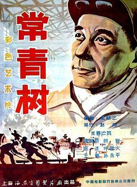 常青树