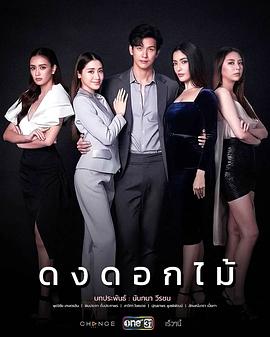 游戏花丛 ดงดอกไม้