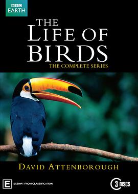 野鸟世界 The Life of Birds