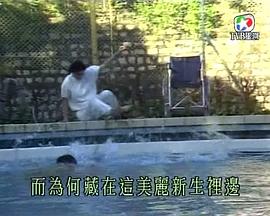 生命之旅Ⅱ命运轮