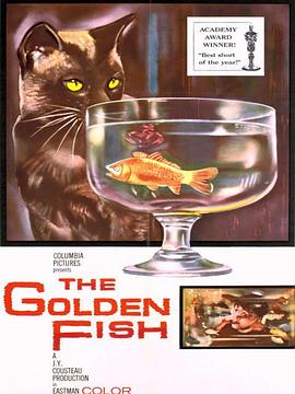 金鱼 Histoire d'un poisson rouge