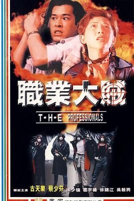 职业大贼 職業大賊