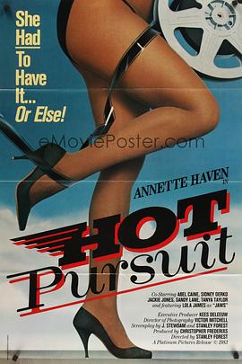 穷追不舍 Hot Pursuit