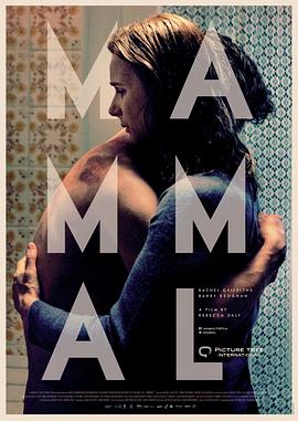 哺乳动物 Mammal