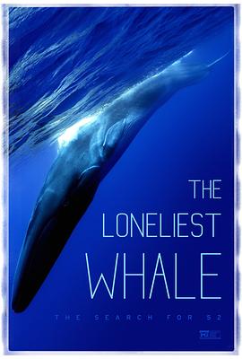 最孤独的鲸：寻找<span style='color:red'>52</span> The Loneliest Whale: The Search for <span style='color:red'>52</span>