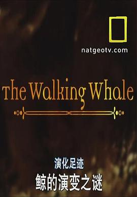 国家地理-演化足迹：陆上行鲸 National Geographic Evolutions The Walking Whale