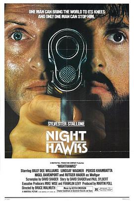 夜鹰 Nighthawks