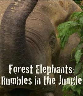 BBC自然世界：森林大象 Forest Elephants - Rumbles in the Jungle