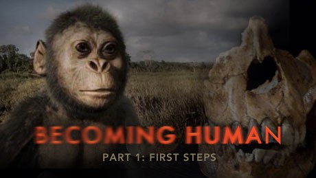 <span style='color:red'>人类进化1：混沌初开 Becoming Human: First Steps</span>