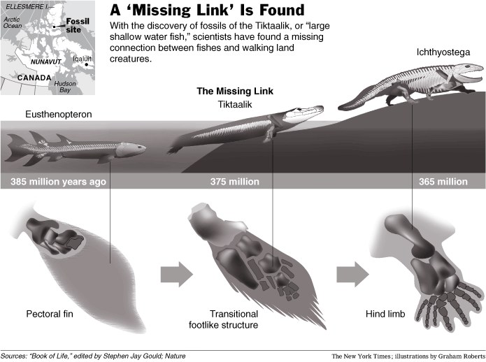 地平线系列：进化缺环 Horizon: The Missing Link