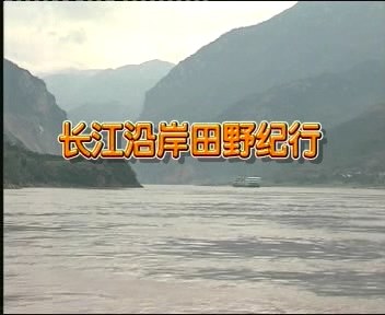 长江沿岸田野纪行