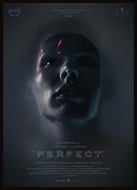 完美 Perfect