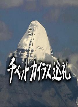 西藏冈仁波齐朝圣之旅 チベット カイラス巡礼