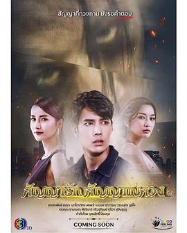 假爱迹象 สัญญารักสัญญาณลวง