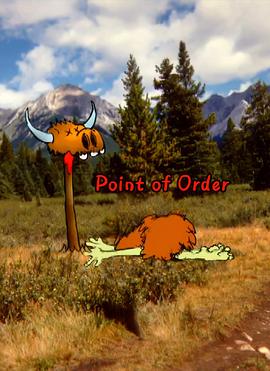 秩序异议 Point of Order