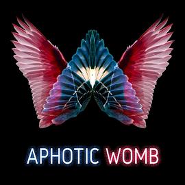 无痛子宫 Aphotic Womb
