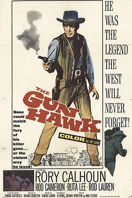 枪鹰 Gun Hawk