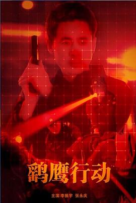 鹞鹰行动