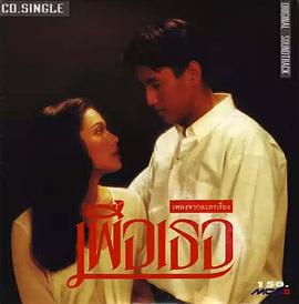 为了你 เพื่อเธอ