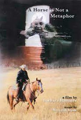 马非隐喻 A Horse Is Not a Metaphor