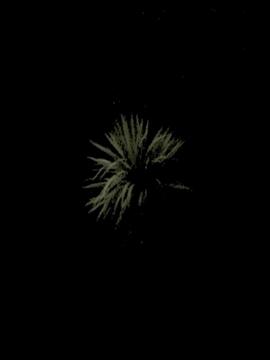 Disquiet
