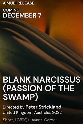 沼泽激情 Blank Narcissus (Passion of the Swamp)