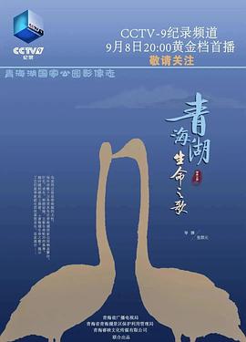 青海湖生命之歌