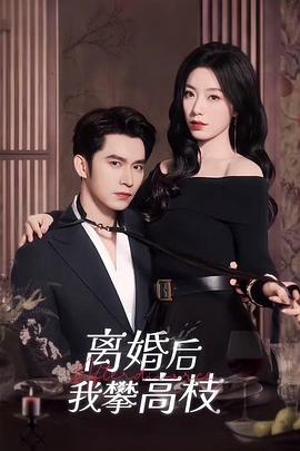 离婚后我攀高枝