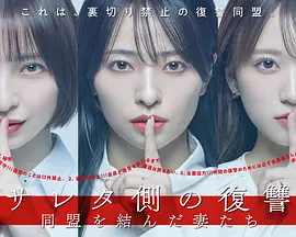 被出轨方的复仇～结成同盟的妻子们～ サレタ側の復讐～同盟を結んだ妻たち～