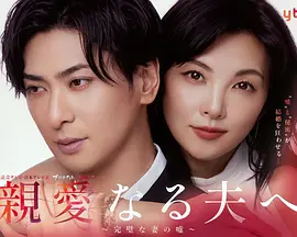 致亲爱的丈夫~完美妻子的谎言~ 親愛なる夫へ～完璧な妻の嘘～