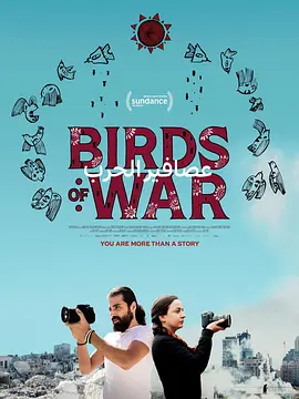 战地飞鸟 Birds of War