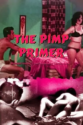 皮条客入门 The Pimp Primer
