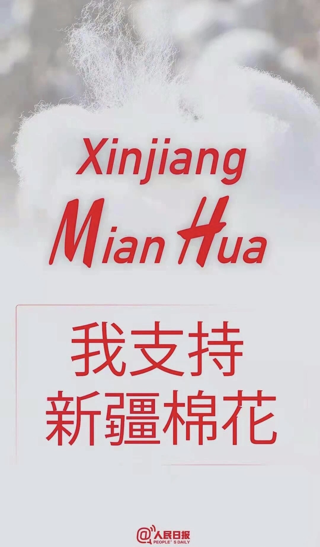 谈《棉花》！当我们谈棉花时，到底在说什么？