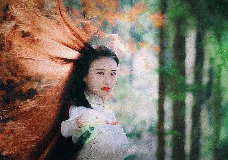 《司藤》的这一个改动,让原著党喜极而泣! 《司藤》的这一个改动,让原著党喜极而泣!
