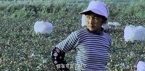 谈《棉花》！当我们谈棉花时，到底在说什么？